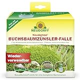 Neudorff Neudomon BuchsbaumzünslerFalle – Insektizidfreie, nachfüllbare Zünslerfalle verhindert die Eiablage und dient zur Befallserkennung, 1 Set