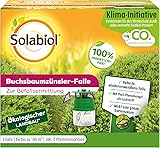 Solabiol Buchsbaumzünsler-Falle, insektzidfreie Zünslerfalle mit Zwei Pheromonbehältern und Lockstoff für 6 Monate, 1 Stück 1 Falle
