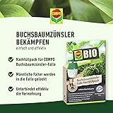COMPO Buchsbaumzünsler-Falle, Inkl. 3 Lockstoff-Dispenser, Insektizid-frei