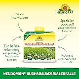 Neudorff Neudomon BuchsbaumzünslerFalle – Insektizidfreie, nachfüllbare Zünslerfalle verhindert die Eiablage und dient zur Befallserkennung, 1 Set