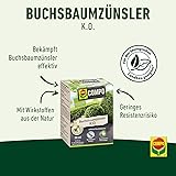 COMPO Buchsbaumzünsler K.O. - Spritzmittel - schnelle Hilfe bei Schädlingen an Buchsbäumen - Konzentrat mit Dosierbecher - für gesunde Pflanzen - 50 ml