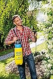 GLORIA Drucksprüher AutoPump Set | Elektrische Gartenspritze 5L mit Batterie- oder Akkubetrieb | Automatischer Druckaufbau ohne Pumpen | Sprühgerät für Pflanzenschutz & Gartenpflege 5L Drucksprüher Batterie-/Akkubetrieb