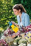 GLORIA Drucksprüher Hobby 100 | 1 L Sprühflasche mit Verstellbarer Düse | Gartenspritze für Garten, Balkon, Zimmerpflanzen & Anzucht | Handsprüher mit leistungsstarker Präzisionspumpe 1L Hobby-Garten Single