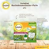 Solabiol Buchsbaumzünsler-Falle, insektzidfreie Zünslerfalle mit Zwei Pheromonbehältern und Lockstoff für 6 Monate, 1 Stück 1 Falle